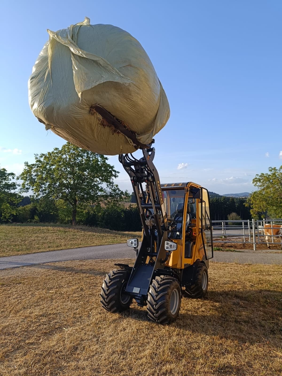 Eurotrac W11-L â Bild 26